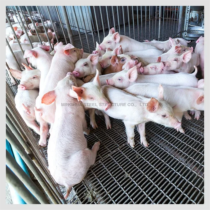 Steel Structure Pig Farm